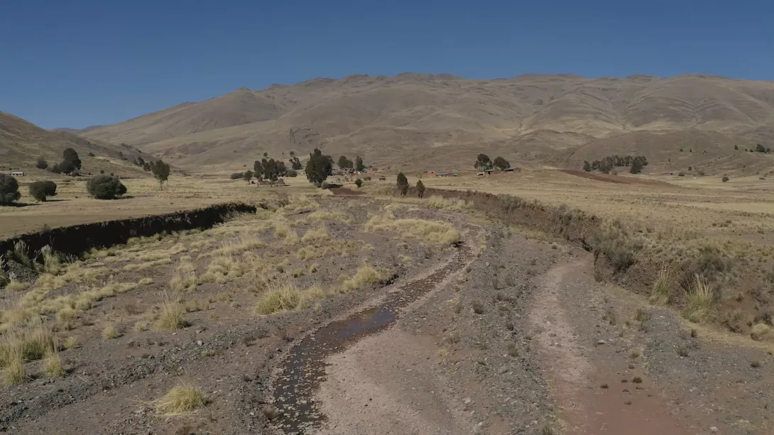 The Andean